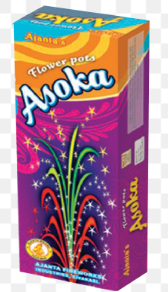 FLOWER POTS ASOKA